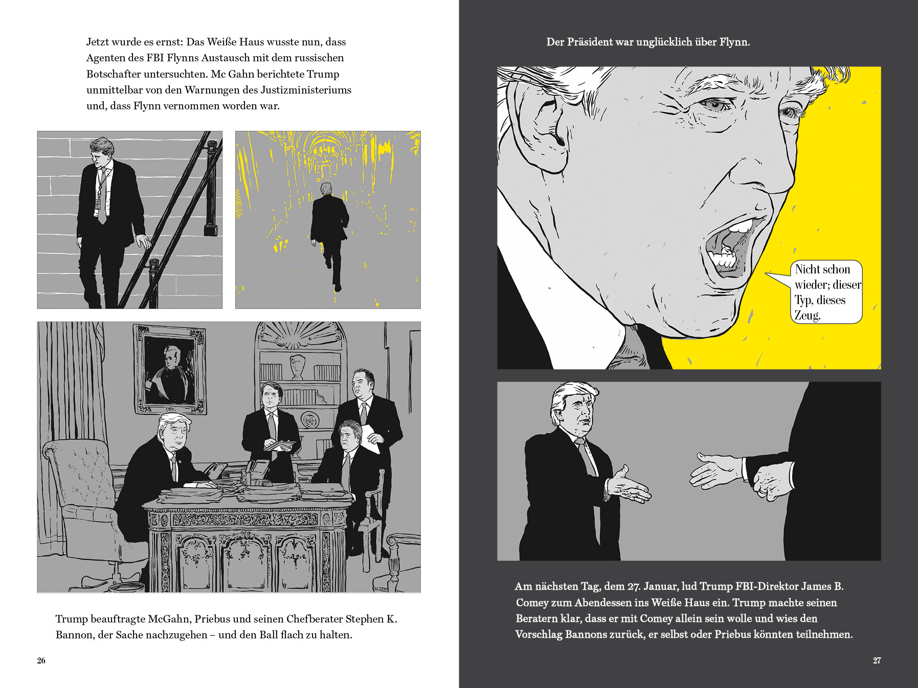 Der Mueller Report Illustriert